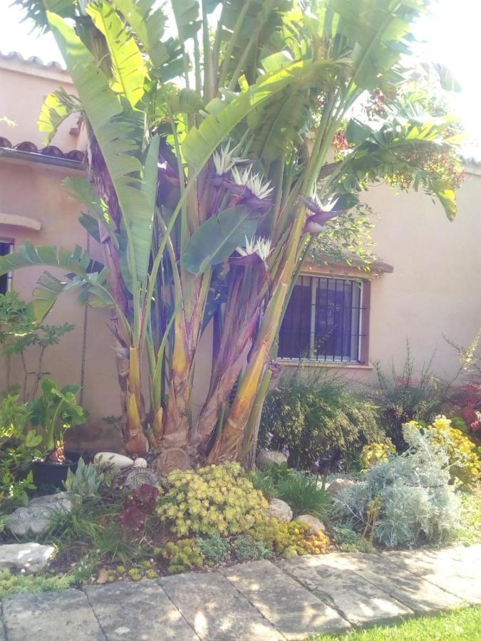 Arthouse Campos Mit Haus Galeria 110Qm Und Appartementhaus Mit Patio 30Qm Buitenkant foto