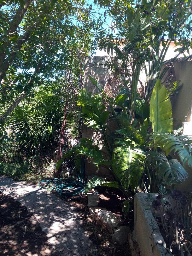 Arthouse Campos Mit Haus Galeria 110Qm Und Appartementhaus Mit Patio 30Qm Buitenkant foto